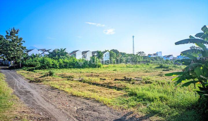 Dijual Cepat Tanah di Dalam Rongroad Kota Jogja, Pekarangan 2