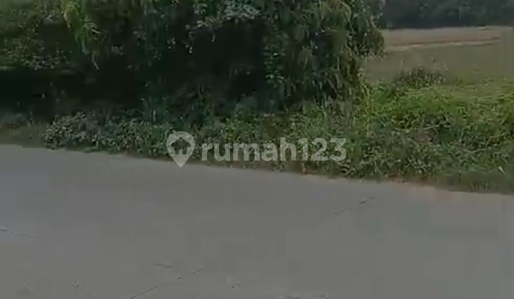 Dijual Tanah Di Jl.raya Petir Kec. Curug Kota Serang