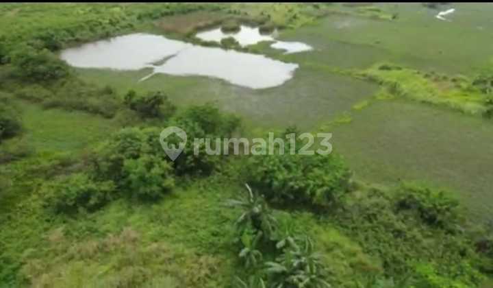 Disewakan Tanah Di Cikarang