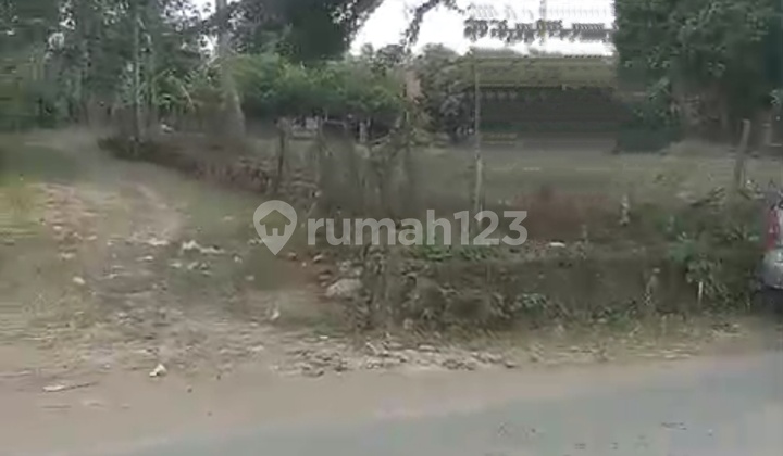 Land For Sale On Jl.raya Petir, Curug District, Serang City Land For Sale On Jl.raya Petir, Curug District, Serang City