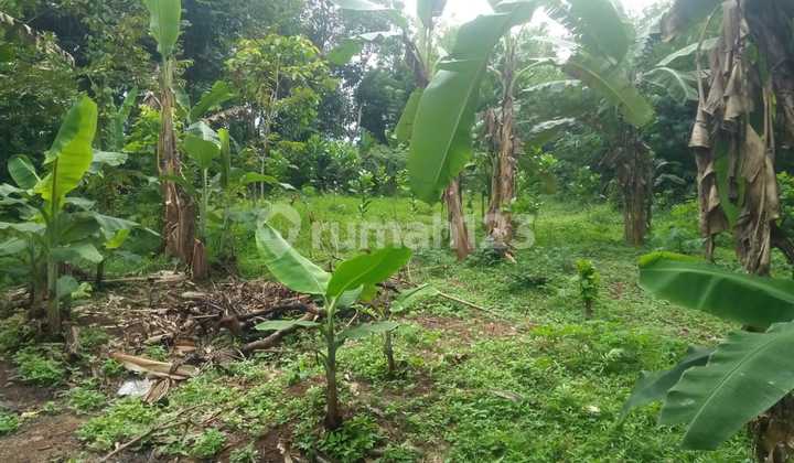 Dijual Tanah Di Kp Mentrung Sukasari Kab. Serang