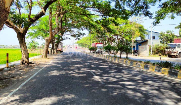 Tanah Murah Manguharjo Depan Rs Hermina Madiun 2