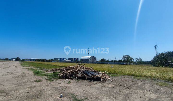 Promo Tanah Murah di Winongo Kota Madiun