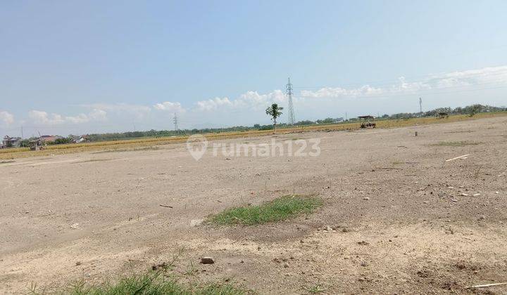 650 M Kampus 2 Politeknik Madiun, Kavling Murah Madiun Gw 1 2