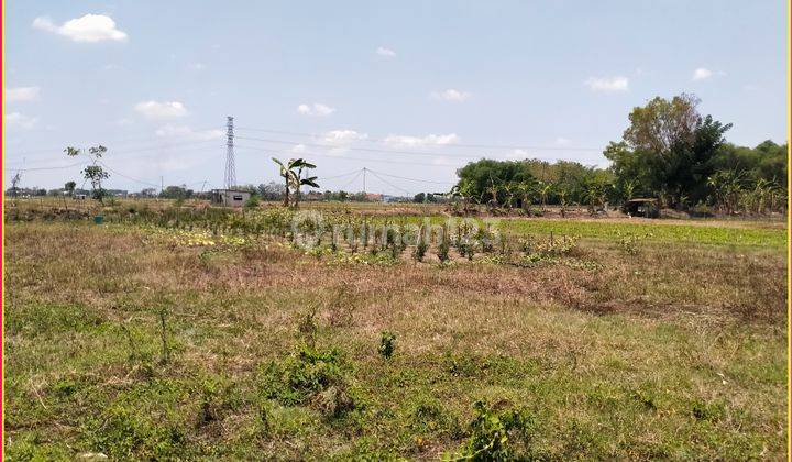 5 Menit Pintu Tol Madiun, Kavling Murah, 80 Jutaan Nca 2