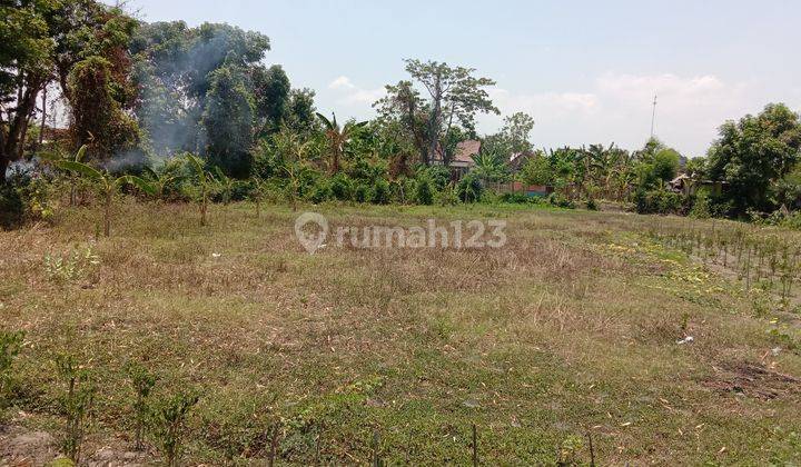 5 Menit Pintu Tol Madiun, Kavling Murah, 80 Jutaan Nca 2