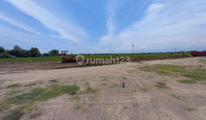 650 M Kampus 2 Politeknik Madiun, Kavling Murah Madiun Gw 1 2