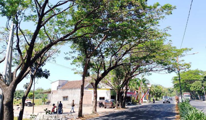 Tanah Murah Madiun Gs, Cocok Untuk Usaha, Selatan Kantor Pt. Imst 2