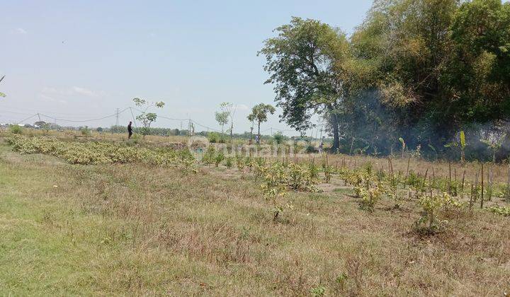 5 Menit Pintu Tol Madiun, Kavling Murah, 80 Jutaan Nca 2