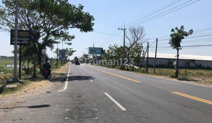 4 Menit Gerbang Tol Madiun, Kavling Murah Madiun Nglames 2