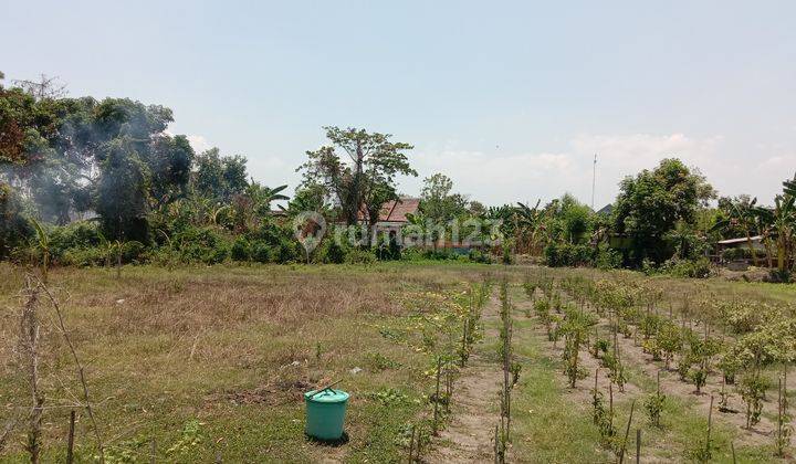 5 Menit Pintu Tol Madiun, Kavling Murah, 80 Jutaan Nca 2