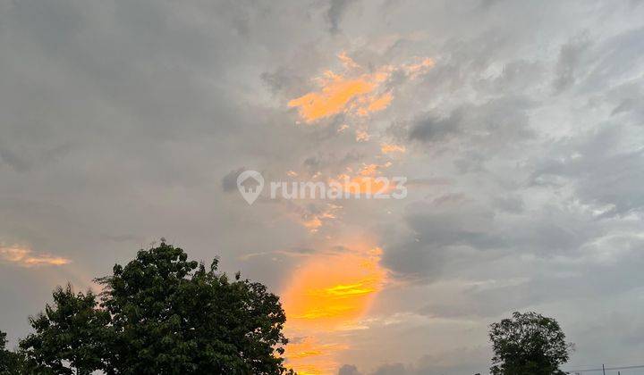 Tanah View Sawah di Maospati, Udara Sejuk Dan Pemandangan Asri 2