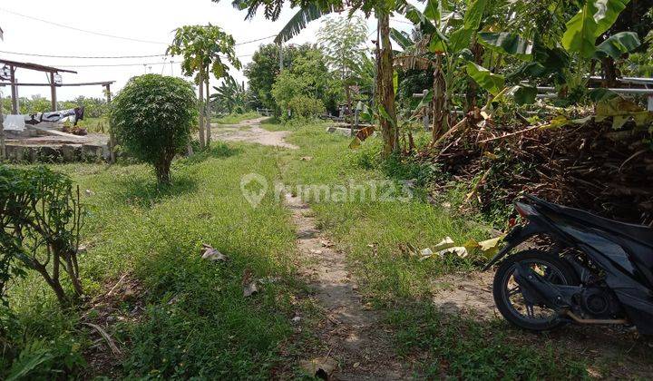 Tanah Murah Meriah di Tawangrejo, Madiun 2