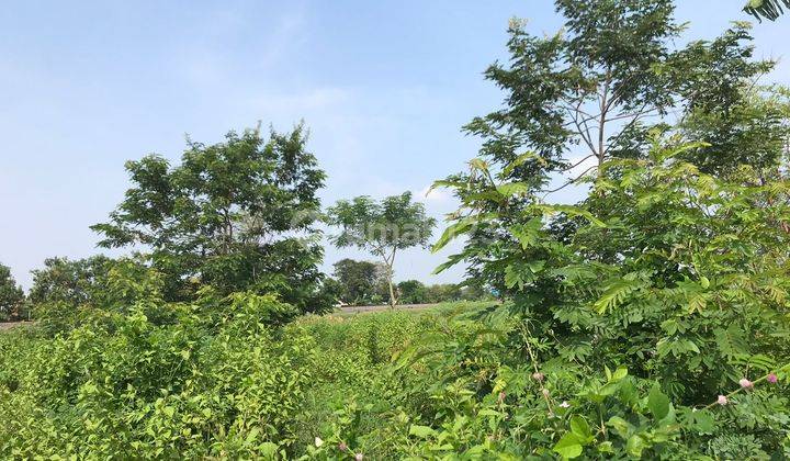 Tanah Murah Madiun Kota Tawangrejo 100 Jt an 1