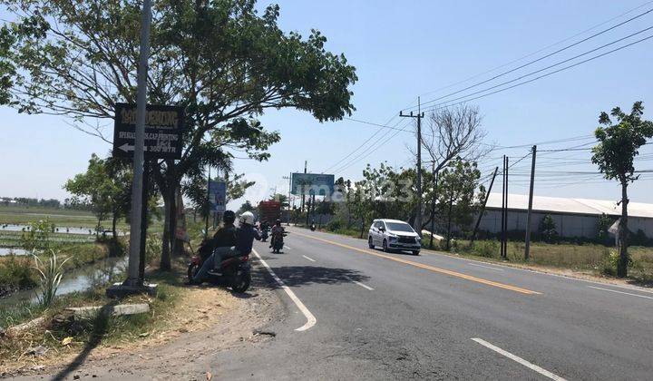 Tanah Kavling Murah Standart Perumahan Madiun, Nglames 2