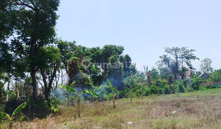 Tanah Murah Dekat Exit Tol Madiun, Lokasi Strategis Untuk Investasi 2