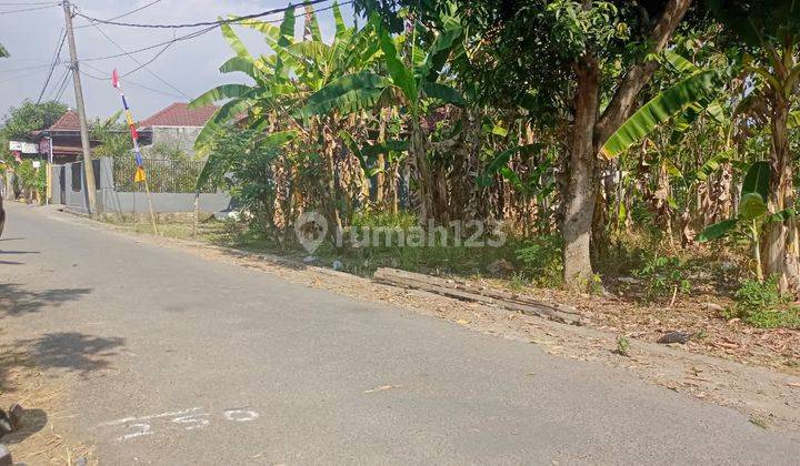 Tanah Murah Murah Mojopurno Dekat Polsek Wungu 2