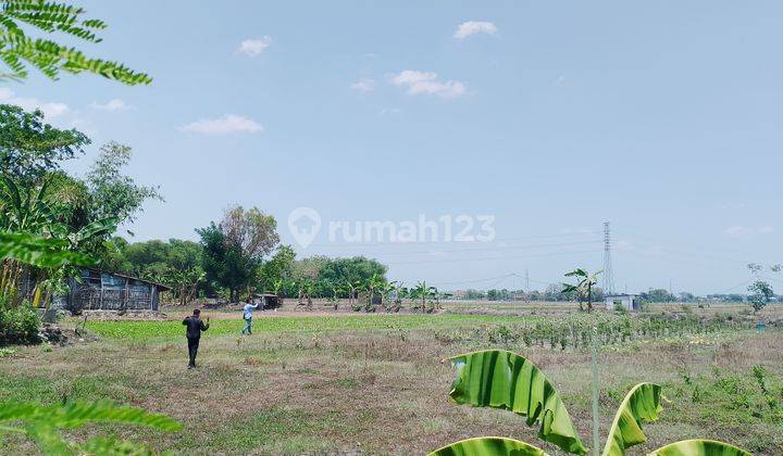 Tanah Murah Madiun Nglames 2