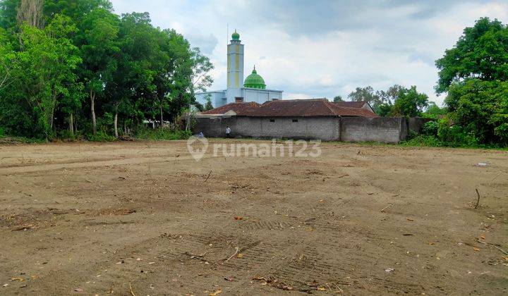 Tanah Murah Jogja, 2 Jutaan di Tirtomartani Kalasan Sleman 2