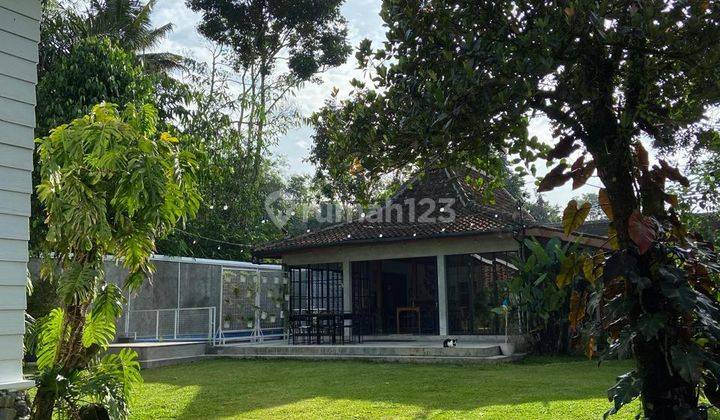 Dijual Villa Cantik di Jogja, View Sawah Private Pooll 2