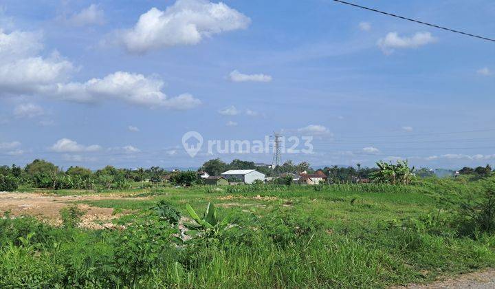 Tanah Jogja Murah Dekat Ugm Sudah SHM Kawasan Berkembang 2