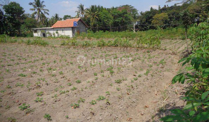 Tanah Termurah Di Jl. Raya Solo Jogja Ke Utara 3 Menit 2