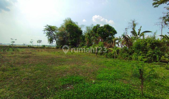 Tanah Murah Madiun Nglames, Dekat Exit Tol Madiun 2