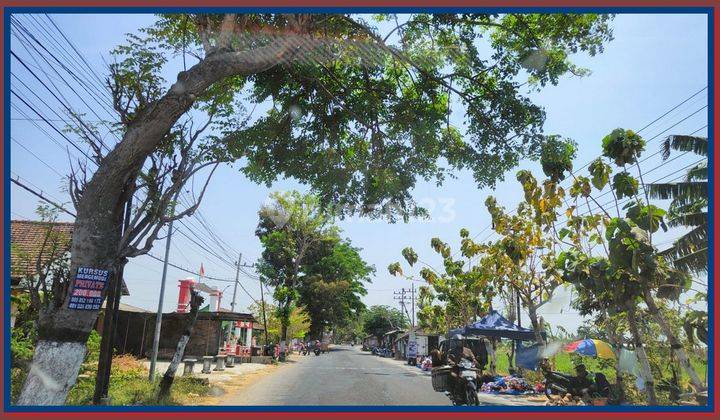 Tanah Murah Maospati, Dekat Unesa Kampus Magetan 2