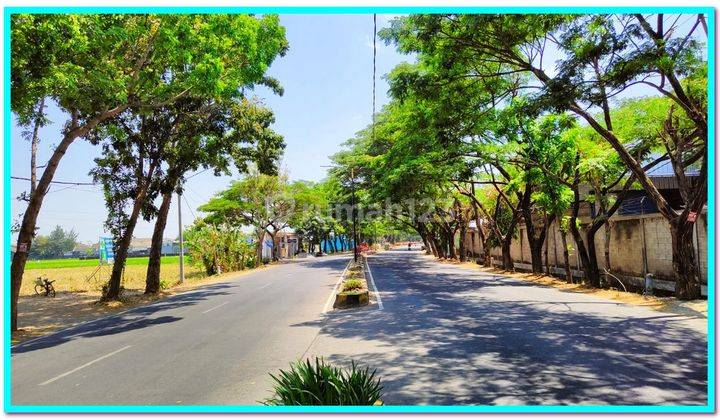 Tanah Murah Madiun Manguharjo, Depan Rs. Hermina 1