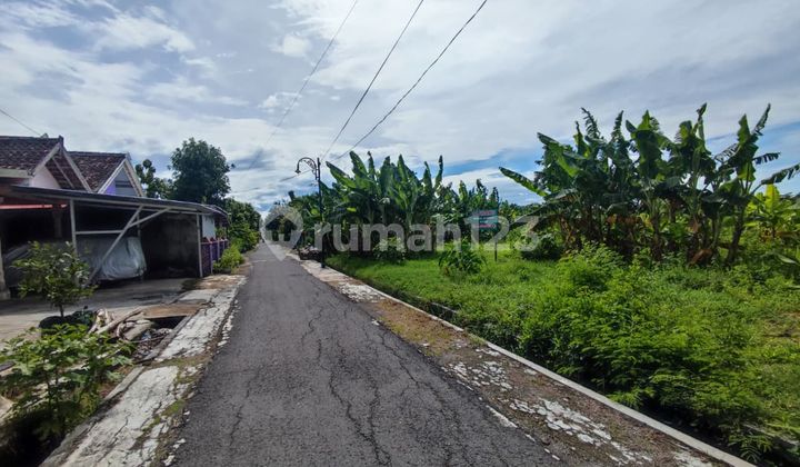 New Launching! Tanah Cocok Hunian & Kos Dekat Kampus Unipma New Launching! Tanah Cocok Hunian & Kos Dekat Kampus Unipma