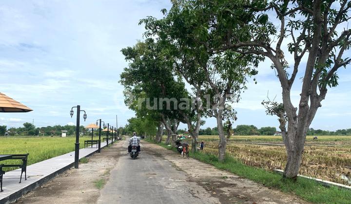 Akses Kilat Tol Madiun! Tanah Kavling SHM