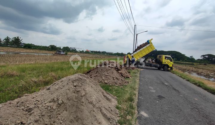 Dekat Inka, Stasiun, Suncity! Tanah Murah Kartoharjo Madiun. Dekat Inka, Stasiun, Suncity! Tanah Murah Kartoharjo Madiun.