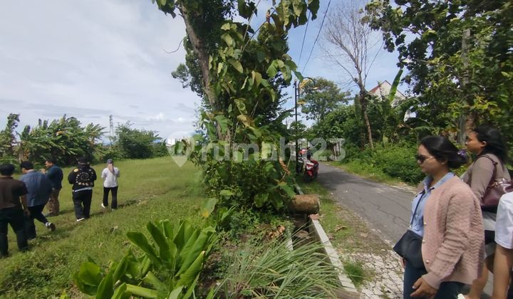 New Launch! Build-Ready Land Near Suncity Madiun 190 Million New Launch! Build-Ready Land Near Suncity Madiun 190 Million