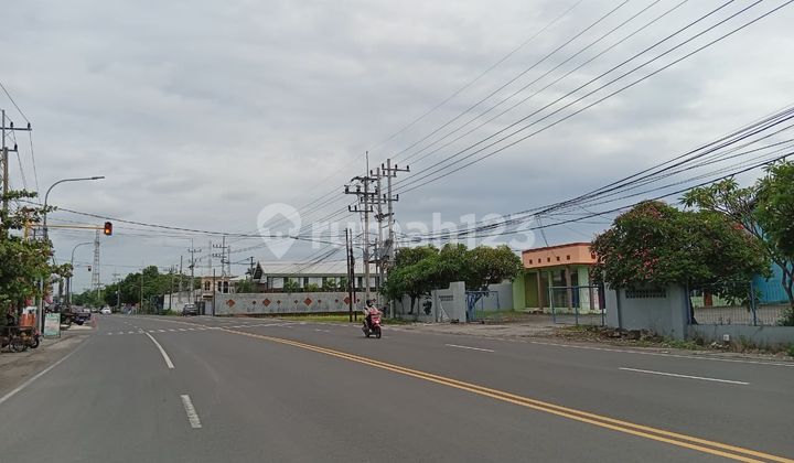 Crazy Promo! 97M² Land with SHM in Kartoharjo, Only 100 Million! Crazy Promo! 97M² Land with SHM in Kartoharjo, Only 100 Million!