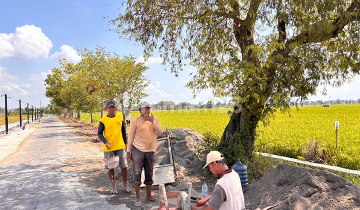 Tanah Dijual Nglames Madiun: 300M ke Jl. Raya Madiun-Nganjuk! Tanah Dijual Nglames Madiun: 300M ke Jl. Raya Madiun-Nganjuk!