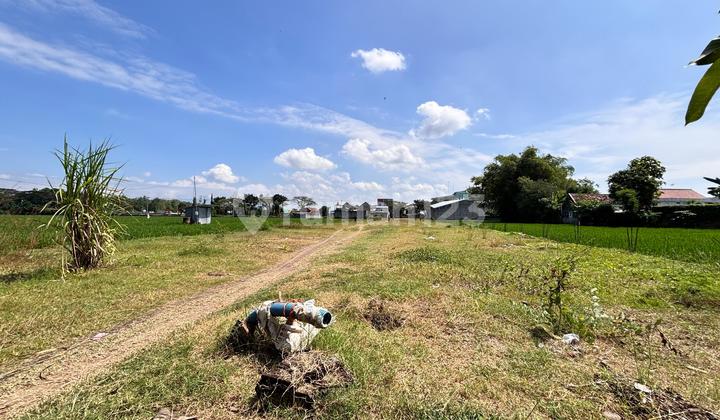 Land for Sale Cheap Madiun Roadside Ring Road Land for Sale Cheap Madiun Roadside Ring Road