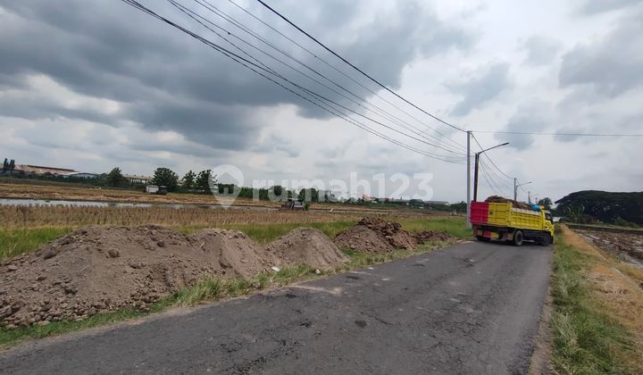 Jual Cepat Tanah Spek Ruko Cocok Buat Usaha Jual Cepat Tanah Spek Ruko Cocok Buat Usaha