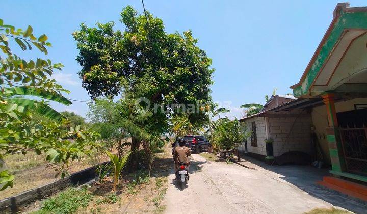 Tanah Madiun Murah 70 Jutaan Dekat Pintu Tol Madiun 2