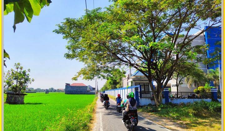 Tanah Madiun Winongo Potongan Harga 30 Juta 2