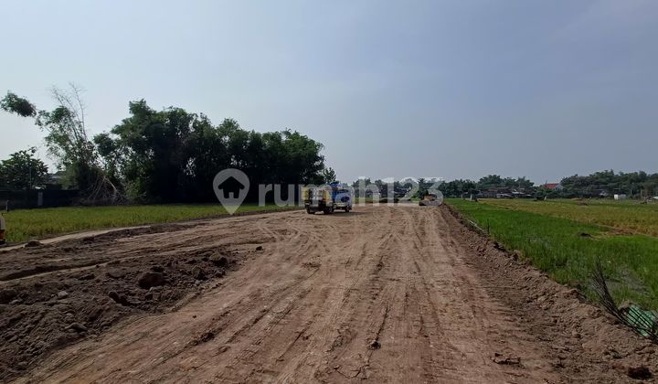 Tanah Premium Madiun: Depan Rs Hermina, Pinggir Ringroad! Tanah Premium Madiun: Depan Rs Hermina, Pinggir Ringroad!