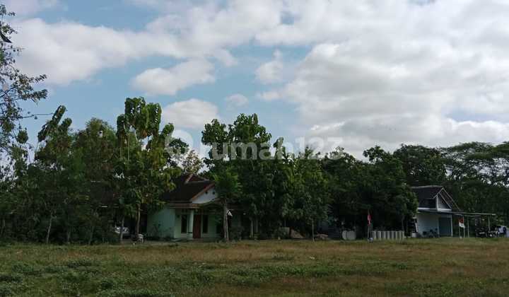 Jaminan Untung! Tanah di Kawasan Paling Berkembang Kartoharjo.
