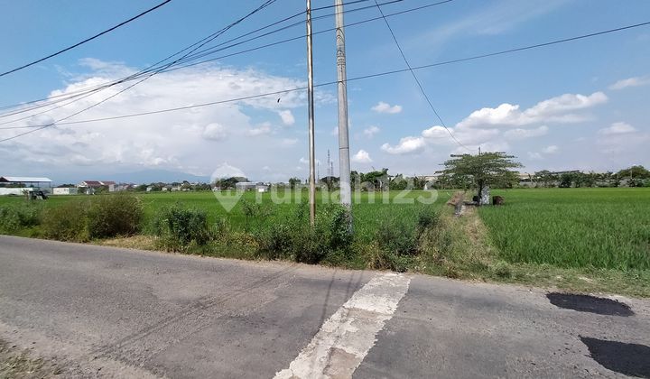 Gerbang Rezeki Baru! Tanah SHM di Pusat Aktivitas Madiun.