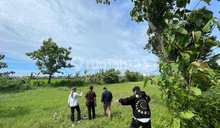 New Launching! Tanah Siap Bangun Dekat Suncity Madiun 190 Jutaan New Launching! Tanah Siap Bangun Dekat Suncity Madiun 190 Jutaan