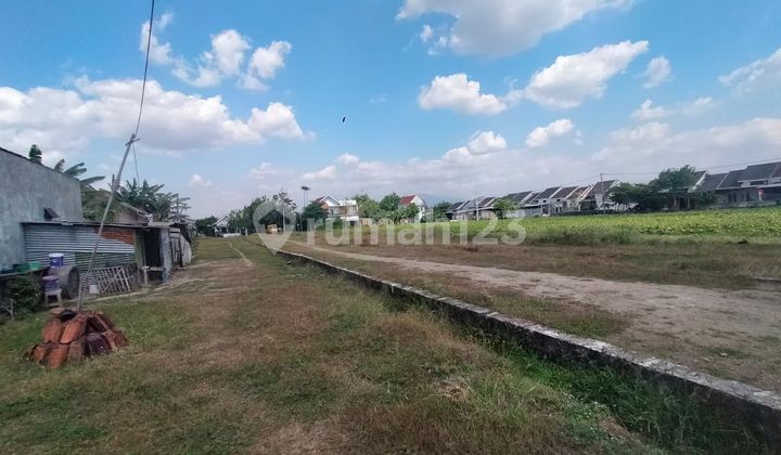 Tanah Siap Bangun Dekat Suncity Mall Harga 2 Jutaan Tanah Siap Bangun Dekat Suncity Mall Harga 2 Jutaan