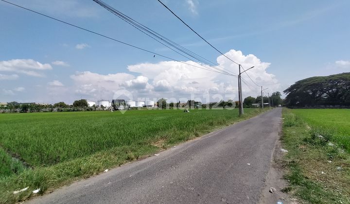 Gerbang Rezeki Baru! Tanah SHM di Pusat Aktivitas Madiun. Gerbang Rezeki Baru! Tanah SHM di Pusat Aktivitas Madiun.