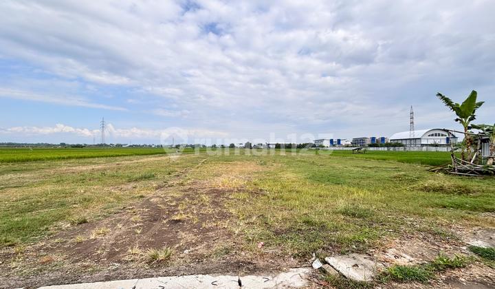 Investasi Cerdas 2026: Tanah Madiun Kota Winongo