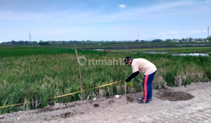 Tanah Madiun Kota Manguharjo Potongan Harga 30 Juta 1