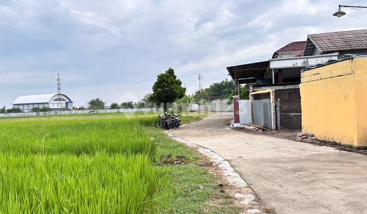 Tanah Madiun Murah Winongo Promo Diskon 30 Jutaan Tanah Madiun Murah Winongo Promo Diskon 30 Jutaan