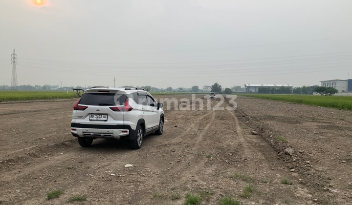Cheap Land for Sale in Madiun Manguharjo Near the Town Square Cheap Land for Sale in Madiun Manguharjo Near the Town Square