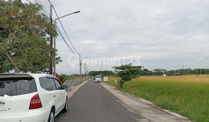 Crazy Promo! 97M² Land with SHM in Kartoharjo, Only 100 Million! Crazy Promo! 97M² Land with SHM in Kartoharjo, Only 100 Million!